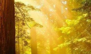 冬天的第一缕阳光叫什么 祖国各地第一缕晨光