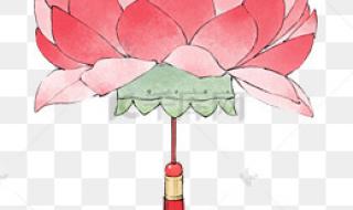 简笔画荷花图片大全 简笔画荷花图片大全