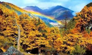 广西那所专科学校最好 广西专科学校排名榜