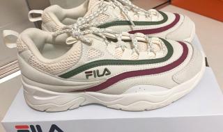 filafusion filafusion