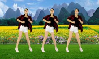 学跳慢摇舞 学跳慢摇舞