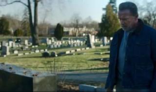 李连杰施瓦辛格合演的电影 阿诺施瓦辛格的电影