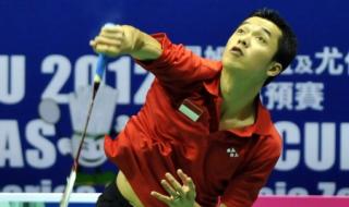 2014年汤姆斯杯中国队参赛队员 汤姆斯杯和尤伯杯