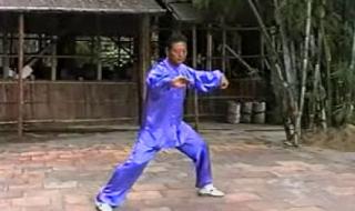 陈氏太极拳有几种 陈式太极拳小架一路