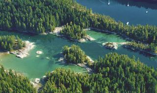 春来江水绿如蓝中绿如蓝是什么意思 什么春来江水绿如蓝