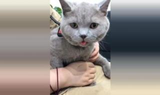 tbc禁魔监狱可以直接进吗 如何杀入禁魔监狱