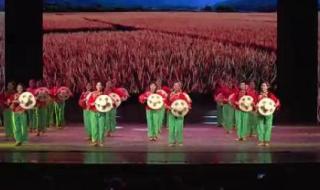 在希望的田野上歌词意思 在希望的田野上舞蹈